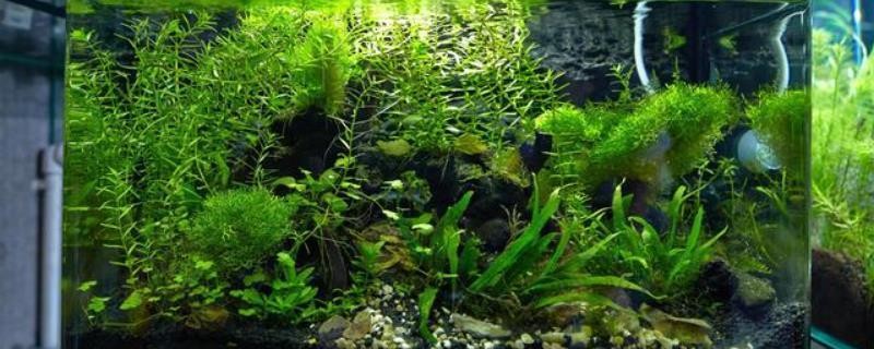 富源縣古敢水族鄉互永通電源電池廠