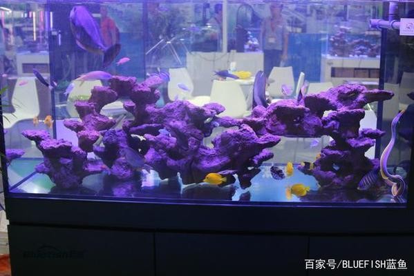 北京市諾曼水族有限公司（北京市諾曼水族有限公司怎么樣）