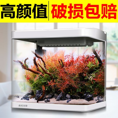 魚(yú)缸過(guò)濾器選購(gòu)指南:自制魚(yú)缸過(guò)濾器魚(yú)缸上置過(guò)濾器對(duì)于養(yǎng)魚(yú)愛(ài)好者的必備知識(shí) 龍魚(yú)斜著游是怎么回事(龍魚(yú)斜著游是怎么回事兒) 魚(yú)缸百科 龍魚(yú)斜著游是怎么回事(龍魚(yú)斜著游是怎么回事兒) 龍魚(yú)斜著游是怎么回事(龍魚(yú)斜著游是怎么回事兒) 魚(yú)缸百科