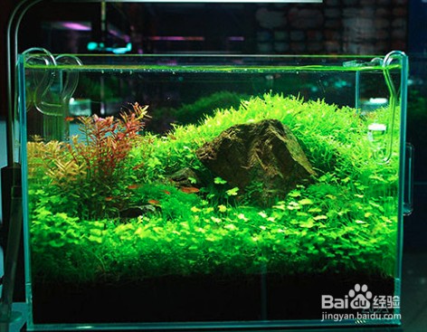 成都龍泉德嘉水族器材有限公司（成都龍泉德嘉水族器材有限公司電話）