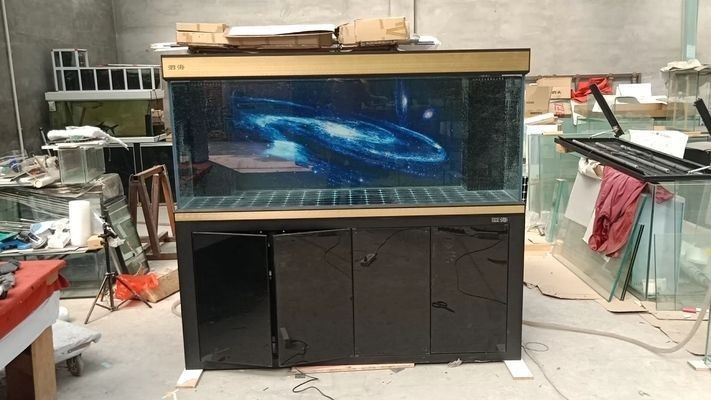 彩蝶魚缸過濾 彩蝶魚缸過濾 龍魚百科 第2張