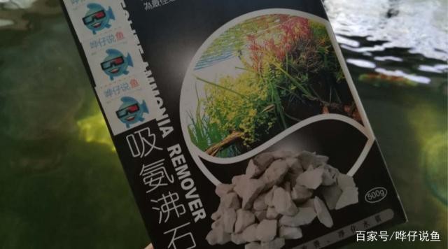 吉林市昌邑區美韻水族館（吉林市昌邑區美韻水族館地址）