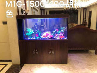 吉安市吉州區弛海觀賞漁業店（吉安市吉州區弛海觀賞漁業店電話）