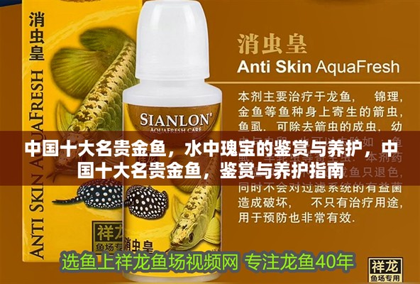 中國十大名牌龍魚 龍魚百科 第3張 中國十大名牌龍魚 中國十大名牌龍魚 龍魚百科 第3張
