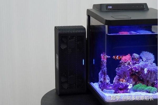 陶瓷魚缸底座有幾種