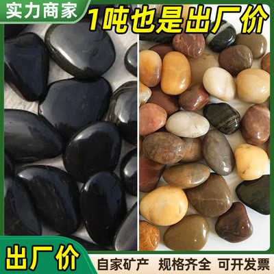 雨化石圖片及價格