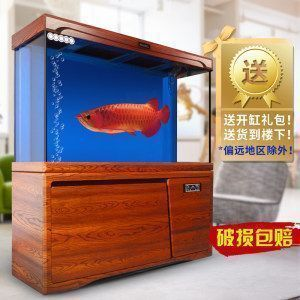 龍魚高端魚缸推薦