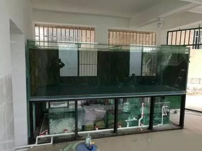 醴陵市霖都玻璃實業(yè)有限公司霖都水族宮（醴陵霖都酒店） 醴陵市霖都玻璃實業(yè)有限公司霖都水族宮（醴陵霖都酒店） 全國水族館企業(yè)名錄 第2張