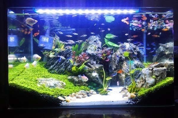 營口二手魚缸轉讓電話號碼（營口二手魚缸轉讓電話號碼多少）