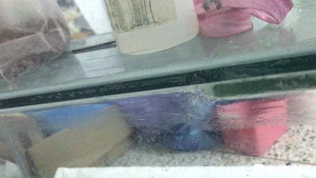 定制魚缸一般多少錢
