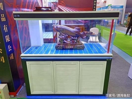 定制魚缸一般多少錢