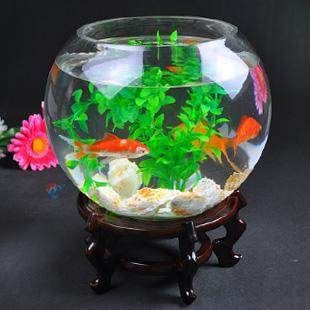 傳統(tǒng)魚缸缺點(diǎn)：傳統(tǒng)魚缸有哪些缺點(diǎn)？