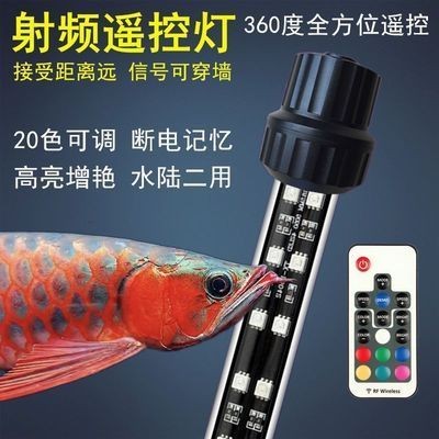紅龍魚用led燈和燈管的區別：紅龍魚使用led燈和led燈管各有優缺點