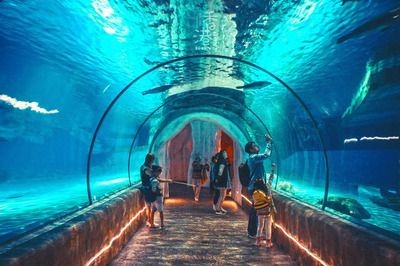 上饒水族館vs祥龍魚場（上饒水族館與祥龍魚場之間的差異，上饒水族館可能更側重于本地市場）