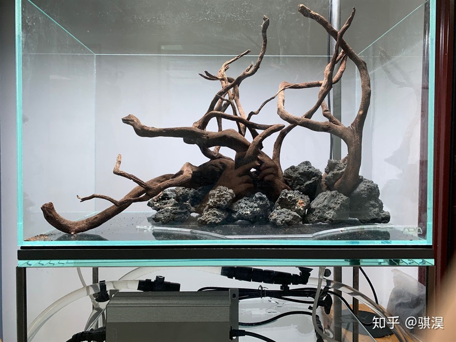 成品魚缸改原生缸造景 成品魚缸改原生缸造景 魚缸百科 第3張