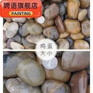 大魚缸改造龜缸好嗎：大魚缸改造龜缸可行嗎？
