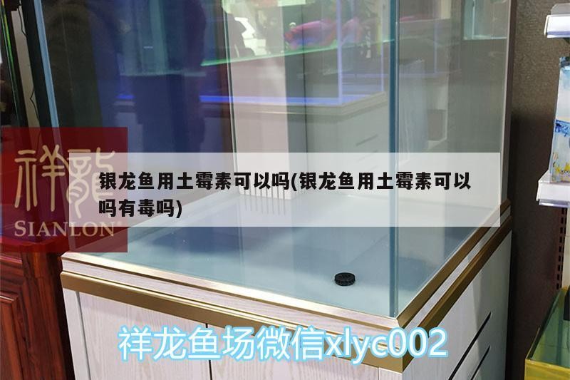 魚缸用增氧泵價格是多少:魚缸增氧機-xtrac增氧機-xtrac增氧機 銀龍魚用土霉素可以嗎(銀龍魚用土霉素可以嗎有毒嗎) 銀龍魚百科 銀龍魚用土霉素可以嗎(銀龍魚用土霉素可以嗎有毒嗎) 銀龍魚用土霉素可以嗎(銀龍魚用土霉素可以嗎有毒嗎) 銀龍魚百科