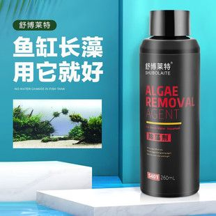 舒博萊特（SHUBOLAITE）魚缸，舒博萊特魚缸以其較高性價比、良好用戶評價和選擇