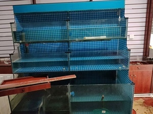 買二手魚缸在哪個平臺