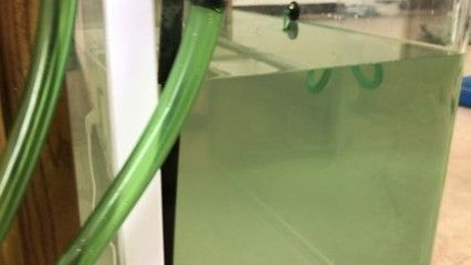 魚缸用增氧泵價格是多少:魚缸增氧機-xtrac增氧機-xtrac增氧機 森森過濾桶質量怎么樣:森森過濾桶怎么樣 森森魚缸 森森過濾桶質量怎么樣:森森過濾桶怎么樣 森森過濾桶質量怎么樣:森森過濾桶怎么樣 森森魚缸