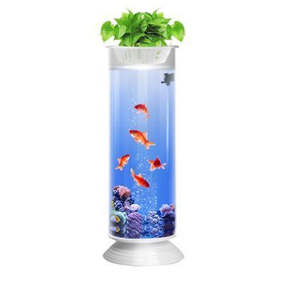 園形魚缸的價格是多少錢，亞克力魚缸與玻璃魚缸對比如何維護園形魚缸定制服務流程園形魚缸品牌推薦列表