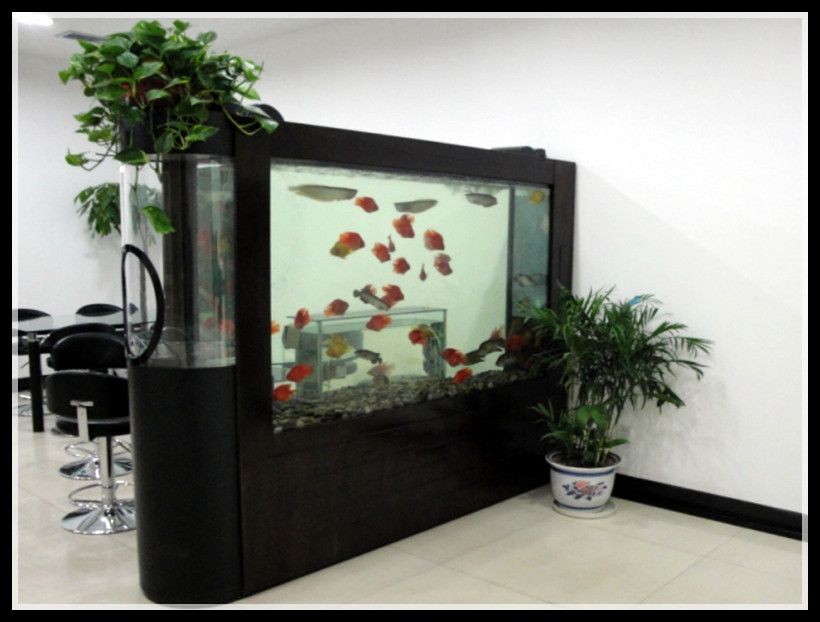 大型魚缸設計,大型魚缸安裝：智能家居與魚缸的結合