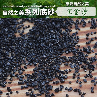 廈門市同安區葉珍美水族館 廈門市同安區葉珍美水族館 全國水族館企業名錄 第2張