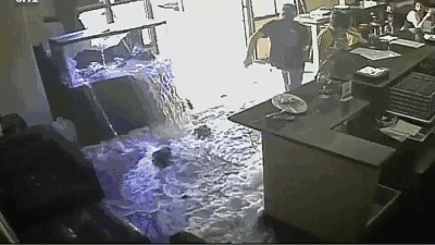 玻璃魚缸為什么自己會裂呢：玻璃魚缸破裂的原因及解決方法 玻璃魚缸為什么自己會裂呢：玻璃魚缸破裂的原因及解決方法 魚缸百科 第2張
