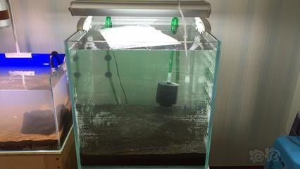 森森603前置適合多大的缸：森森603前置過濾桶適合放置在60cm以內的魚缸中 森森603前置適合多大的缸：森森603前置過濾桶適合放置在60cm以內的魚缸中 森森魚缸