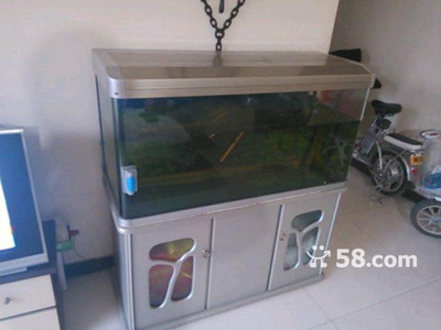 58同城二手魚缸轉(zhuǎn)讓