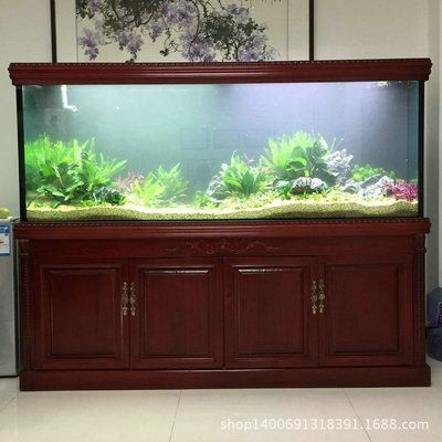 大型觀賞魚缸定制：大型觀賞魚缸定制與水族工程提供大型觀賞魚缸定制服務(wù)