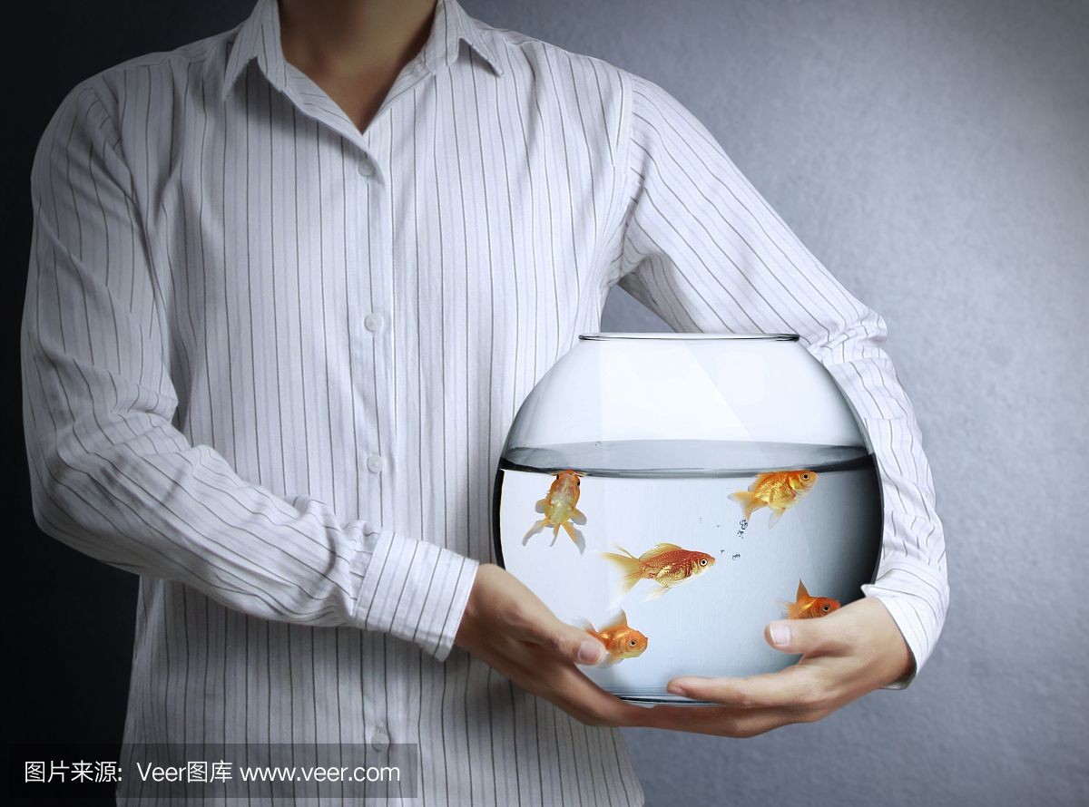 玻璃魚缸會議是什么：玻璃魚缸會議是一種怎樣的存在？