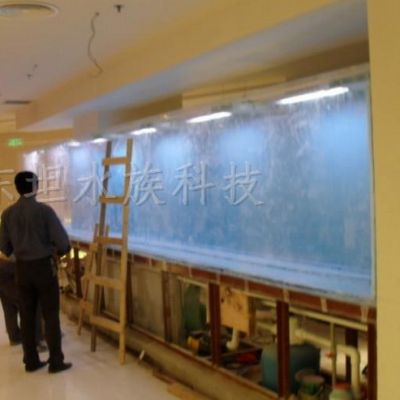超白玻璃魚缸好不好養(yǎng)活：超白玻璃魚缸如何選購(gòu)