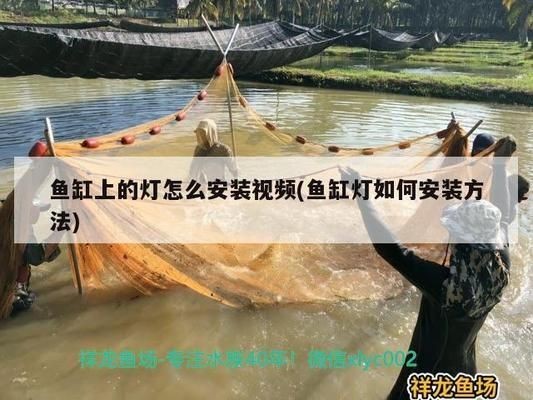 紅龍魚魚缸燈怎么安裝：如何正確安裝紅龍魚魚缸燈