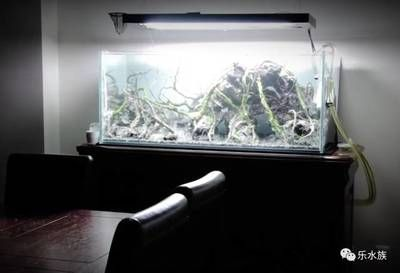 大型生態魚缸怎么制作過程視頻：大型生態魚缸制作生態魚缸的制作過程包括多個步驟