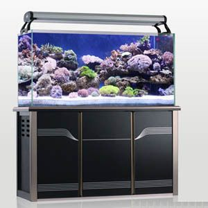 大型生態魚缸怎么制作過程視頻：大型生態魚缸制作生態魚缸的制作過程包括多個步驟