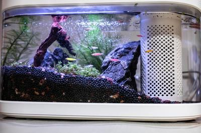 大型生態(tài)魚缸怎么制作過程視頻：大型生態(tài)魚缸制作生態(tài)魚缸的制作過程包括多個步驟