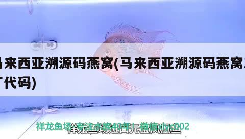黑色后背有刺是什么魚？，海南三亞黑色后背帶刺的魚背上有刺的魚是什么魚 黑色后背有刺是什么魚？，海南三亞黑色后背帶刺的魚背上有刺的魚是什么魚 魟魚百科 第2張