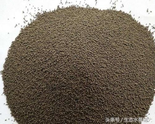 帶底沙的魚缸養(yǎng)什么魚：帶底沙的魚缸養(yǎng)什么魚，帶底沙的魚缸養(yǎng)什么魚時需要綜合考慮