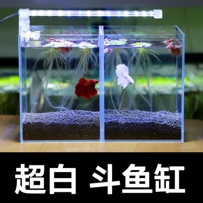 斗魚缸設計圖：斗魚缸的設計圖