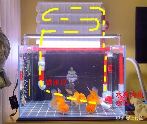 大型圓柱形魚缸進水口：關于大型圓柱形魚缸的相關信息