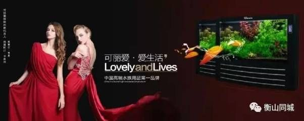 可麗愛 森森：可麗愛和森森各有優勢和特點，森森魚缸售后服務很棒