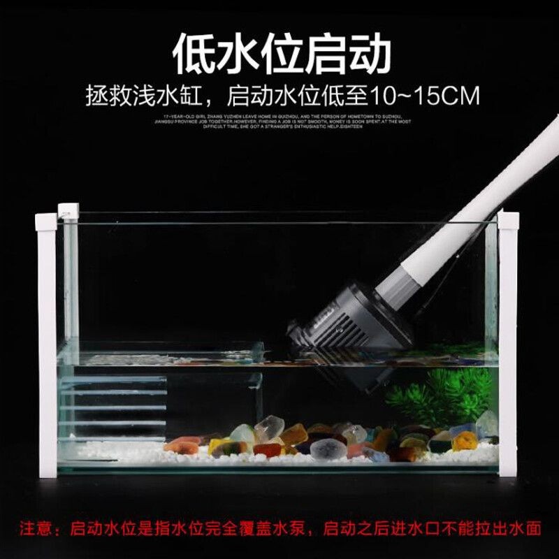 紅龍和魟魚混養(yǎng)案例分享