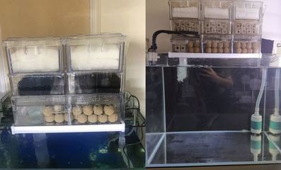 家用魚缸循環(huán)水過濾系統(tǒng)需要放水嗎，如何建立生物過濾系統(tǒng)魚缸換水的最佳時間過濾棉清潔技巧