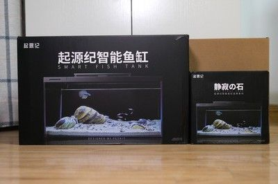 包裝一個魚缸大概需要多少錢費用：包裝一個魚缸的費用并沒有直接給出，但是可以從相關費用中進行推測 包裝一個魚缸大概需要多少錢費用：包裝一個魚缸的費用并沒有直接給出，但是可以從相關費用中進行推測 魚缸百科 第3張