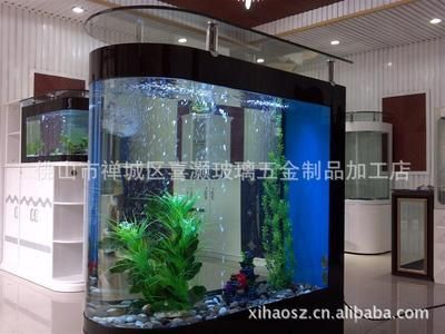 玻璃魚缸好還是亞克力的玻璃好：亞克力魚缸和玻璃魚缸哪個好