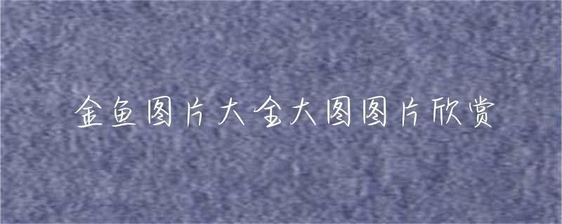 金魚大全100種