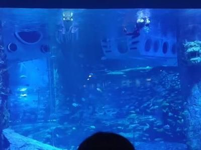 襄樊水族館vs祥龍魚場（探討襄樊水族館與祥龍魚場之間的差異之前需要明確兩者的基本信息）
