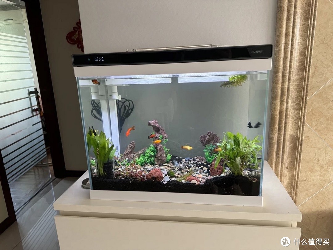 長沙市雨花區連誠水族館（長沙市雨花區連誠水族館地址）