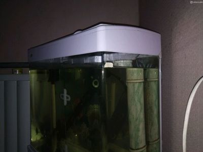 大蘇打魚缸放多少水合適養魚蝦：養魚時魚缸的水位應該如何選擇？
